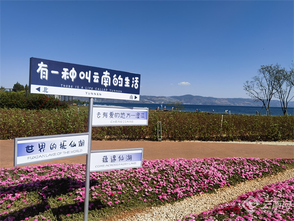 云南省文化和旅游厅