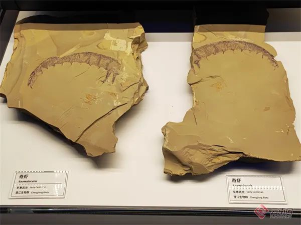 云南省文化和旅游厅