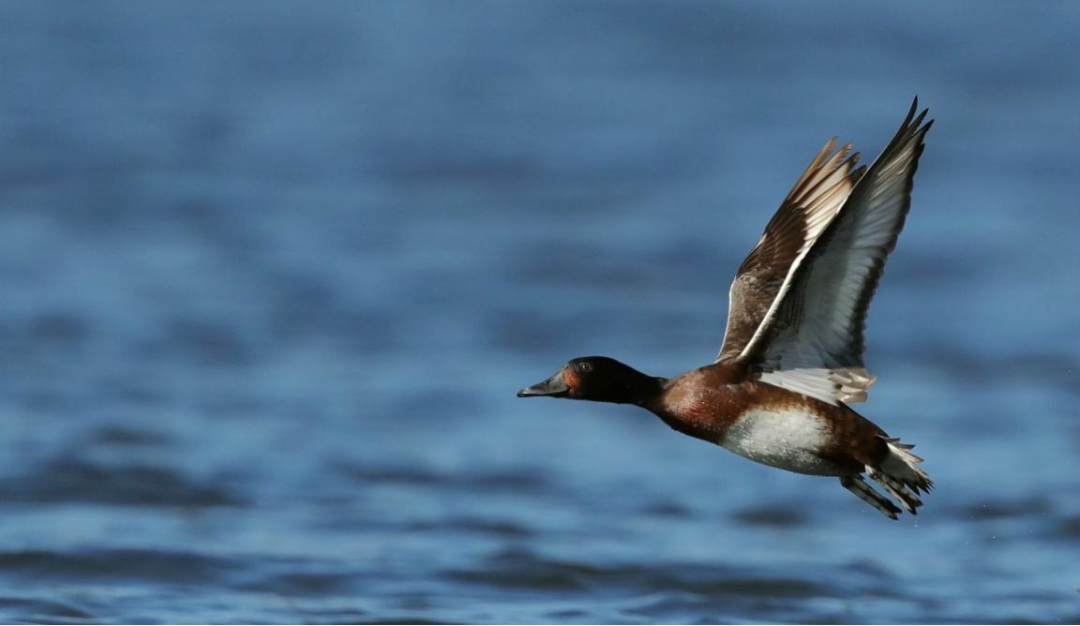 云南省文化和旅游厅