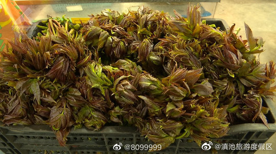 滇池旅游度假区