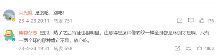 掌上春城