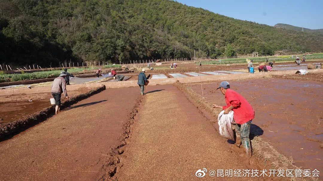 昆明经济技术开发区管委会