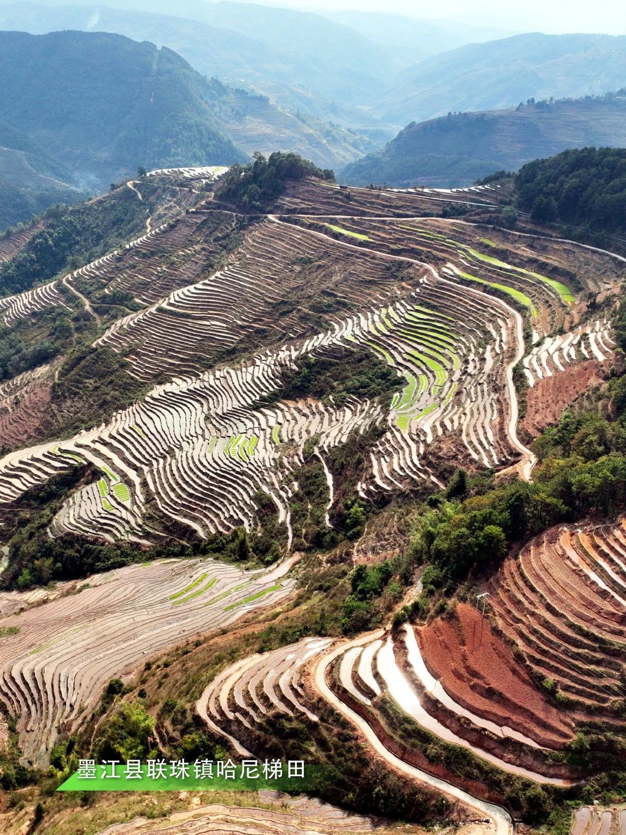 云南省文化和旅游厅
