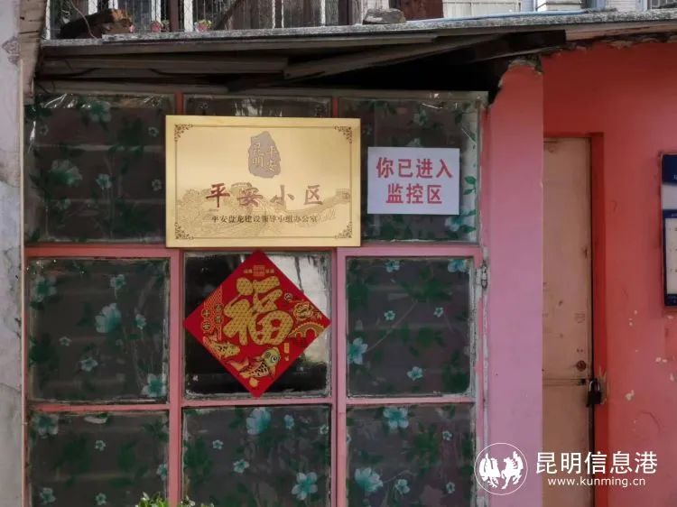 微观盘龙