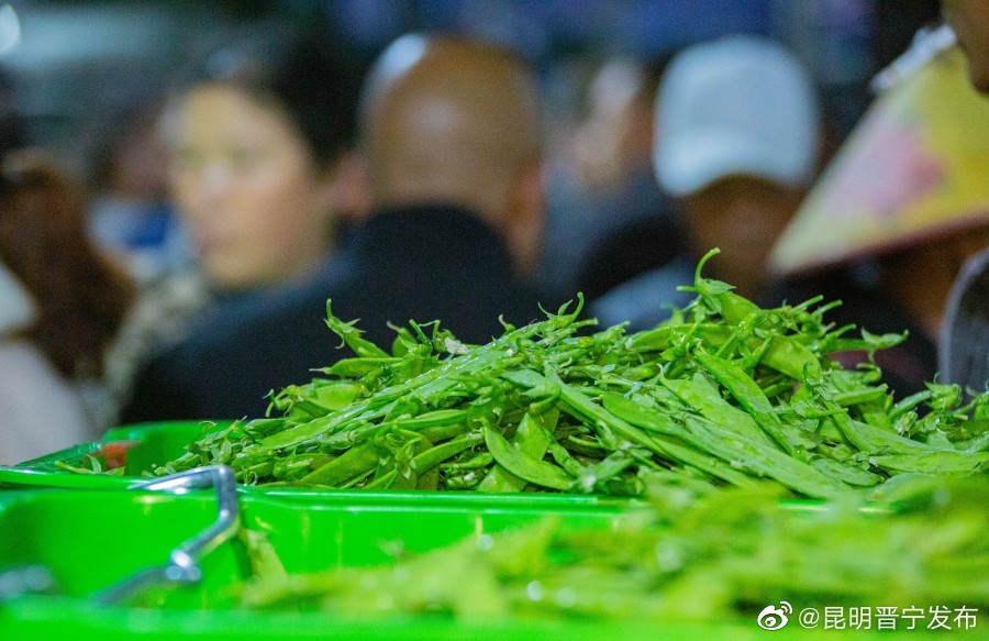 昆明晋宁发布