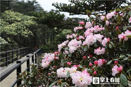 昆明信息港/cnkmxxg