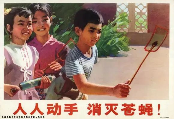 大理日报