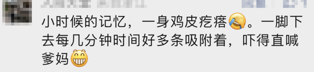 春城晚报
