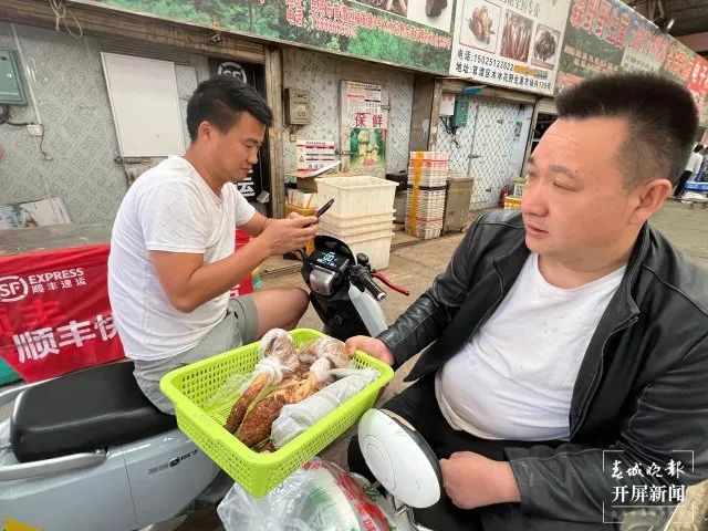 掌上春城