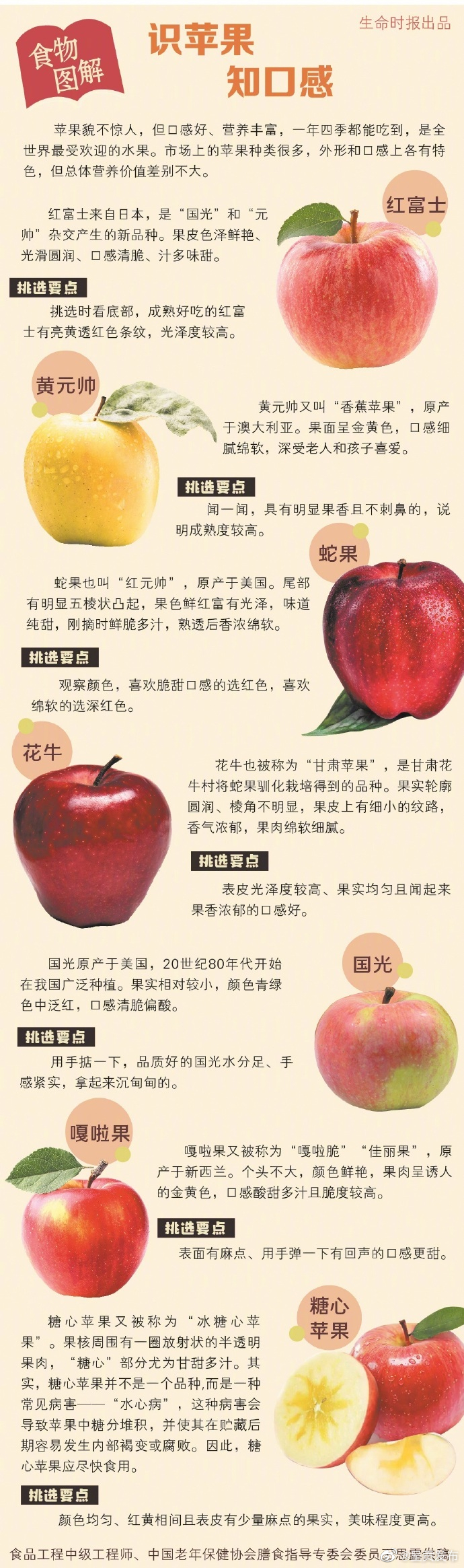 一图看清不同苹果的挑选方法