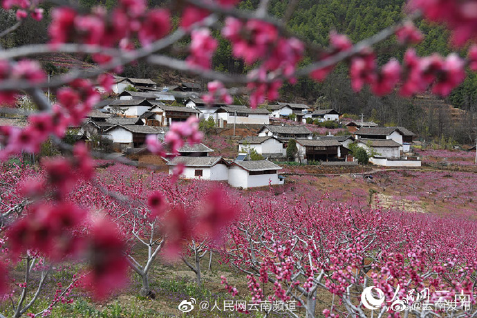 “云南发布”微博