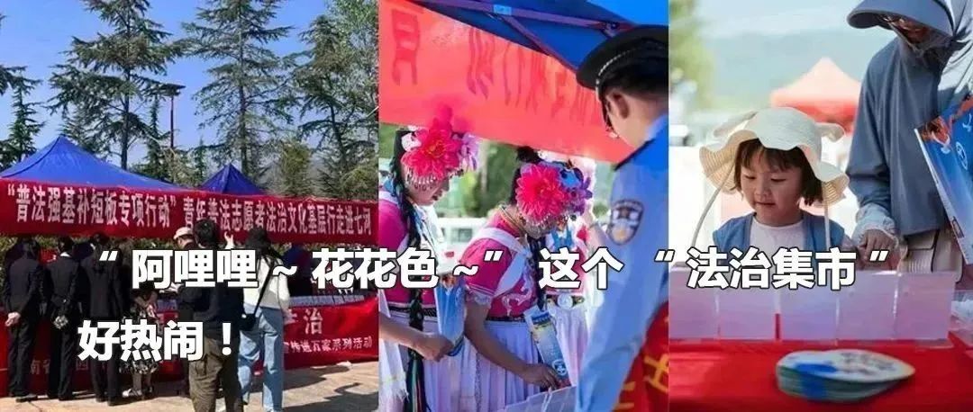 云南政法