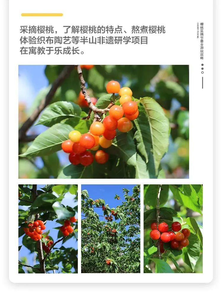爱上富民