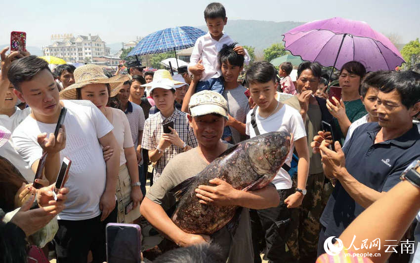 云南省文化和旅游厅
