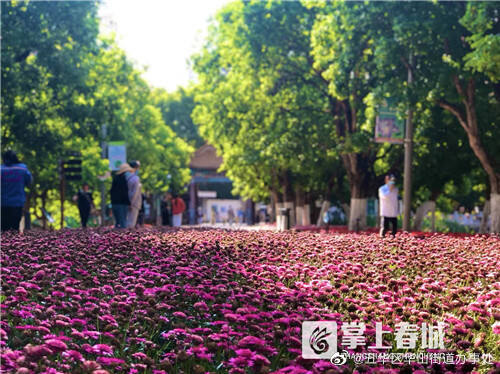 五华区华山街道办事处