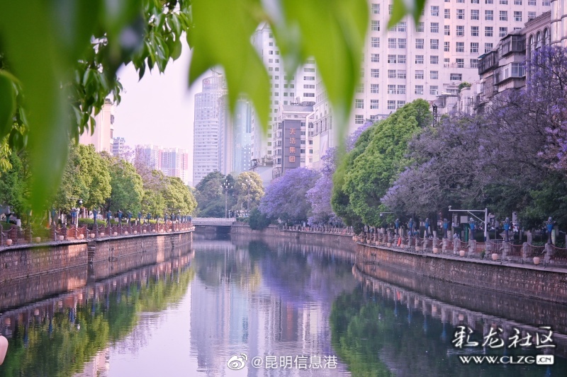 昆明信息港