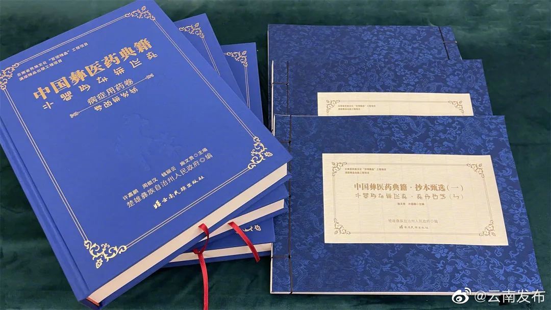 《中国彝医药典籍》正式发布