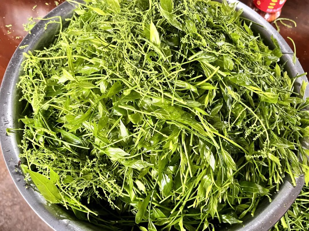 普洱日报