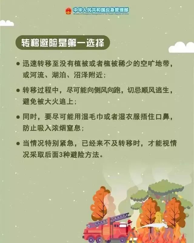 丽江日报