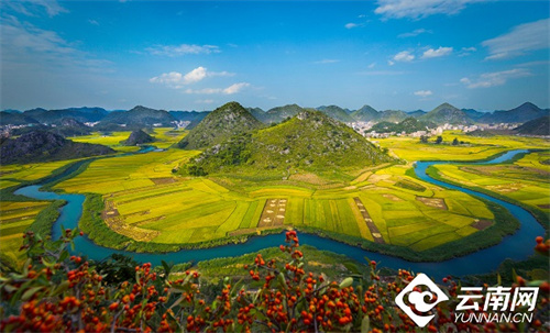 云南省文化和旅游厅