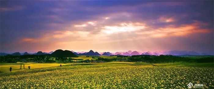 保山新闻网