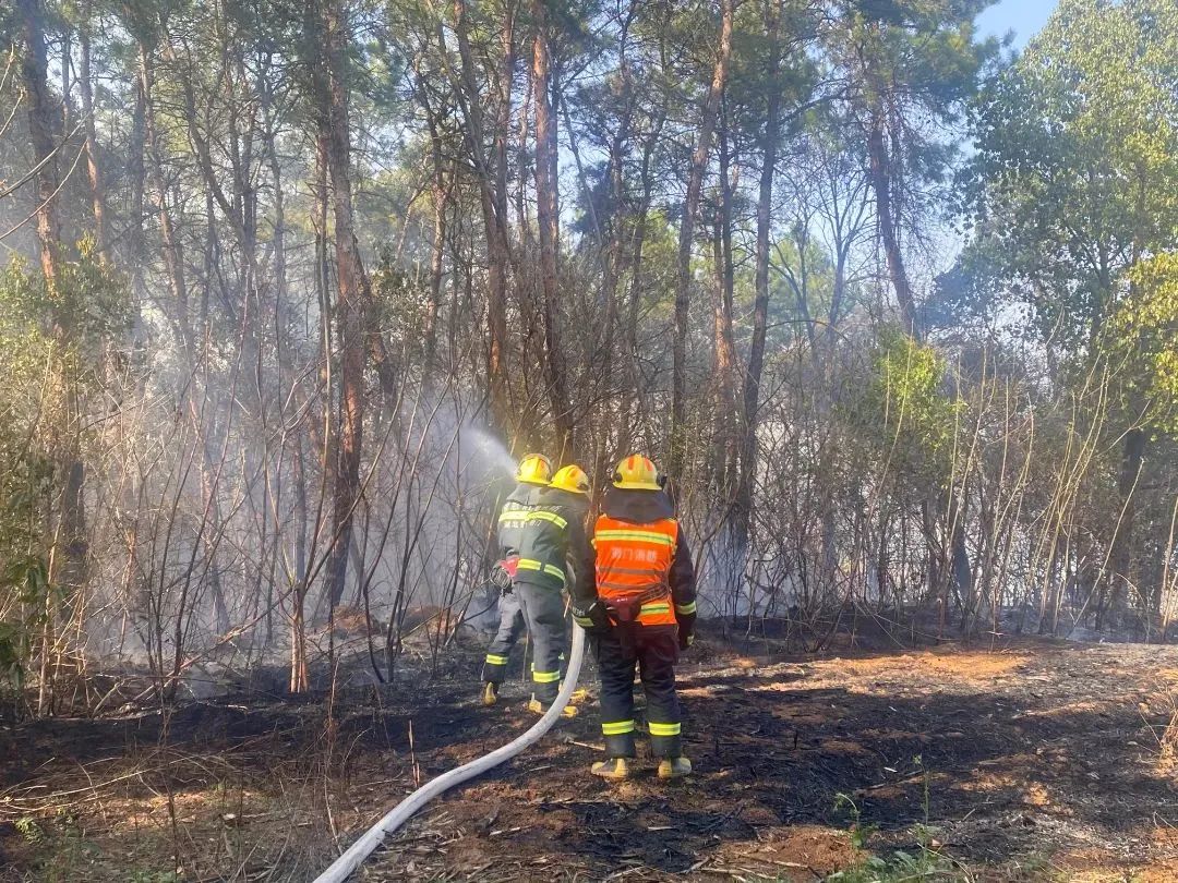 昆明信息港/cnkmxxg