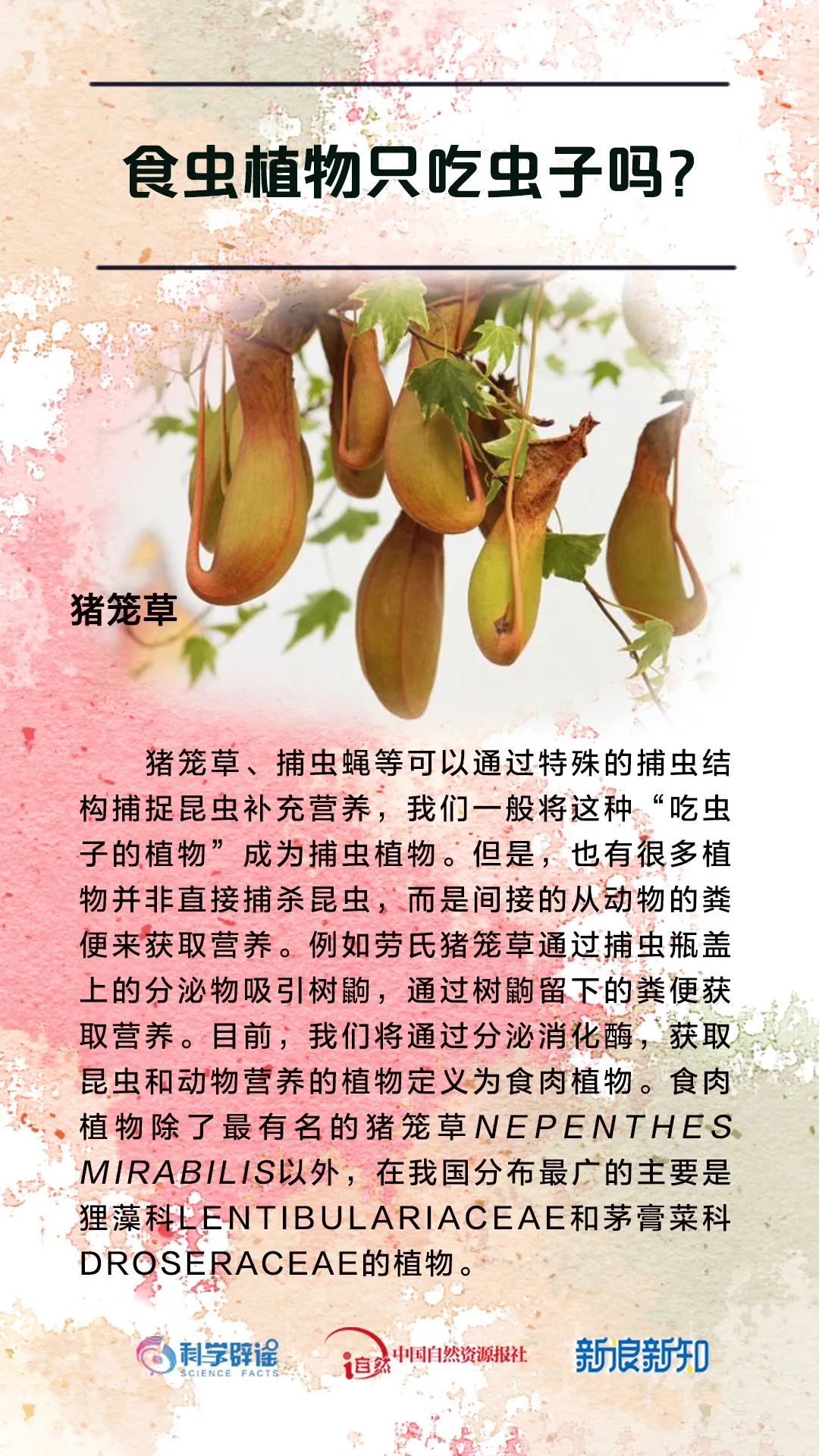 美丽云南微科普