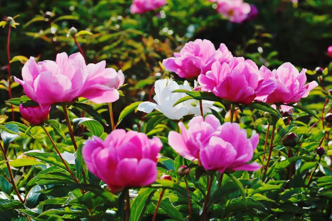 昆明阳宗海风景名胜区