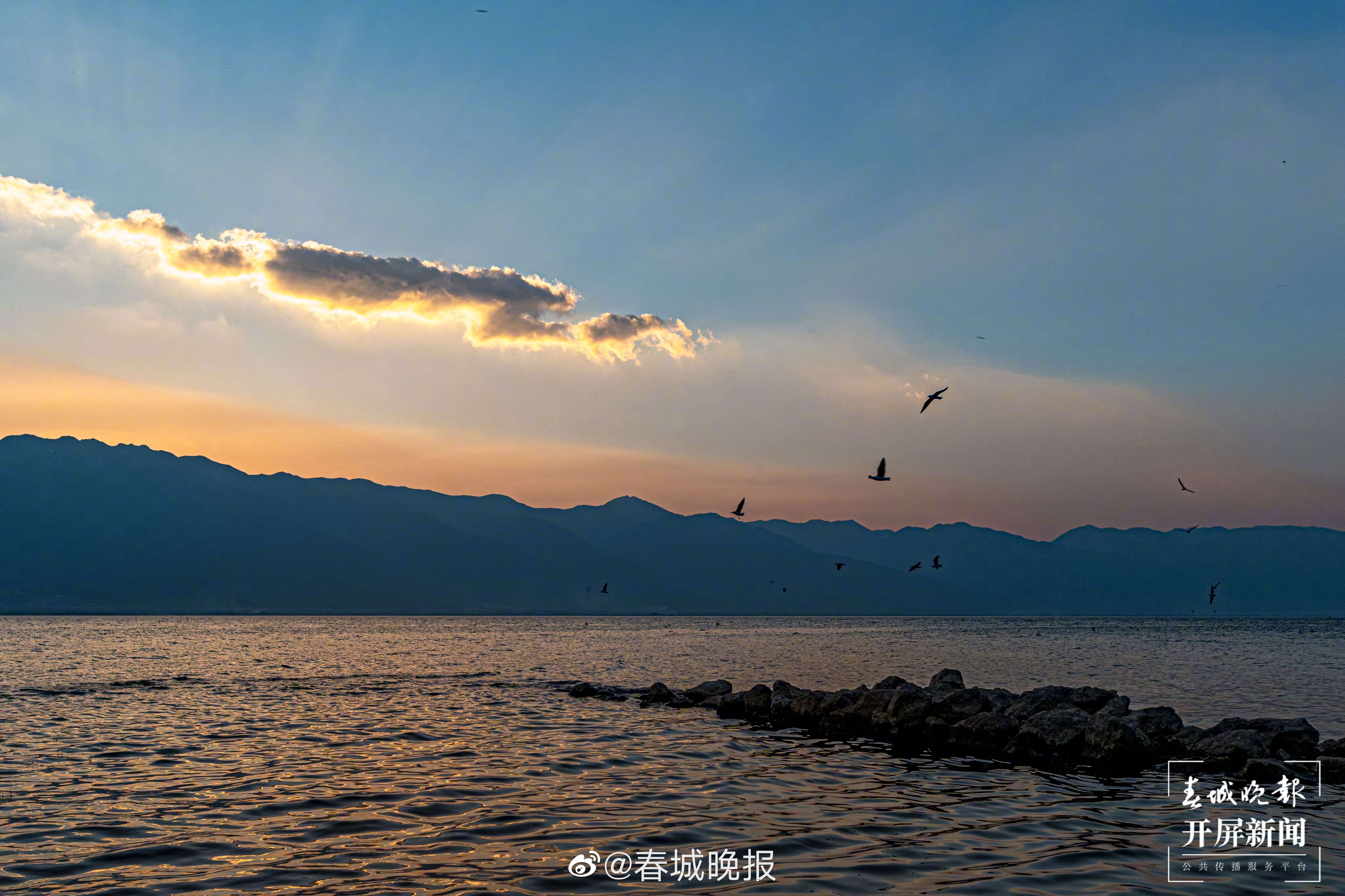 “五一”未至先火！大理海景酒店部分房型已预订一空