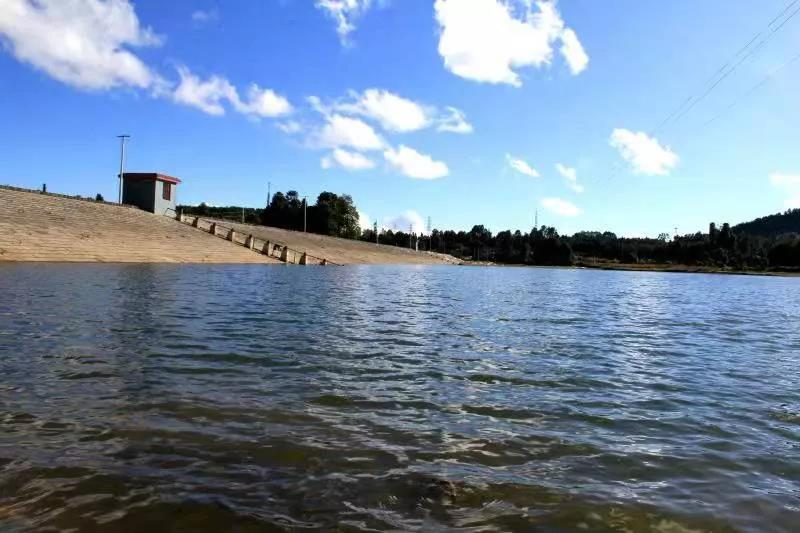 云南省人民政府网