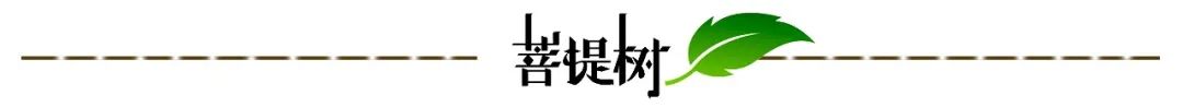 迪庆日报传媒