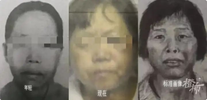 春城晚报