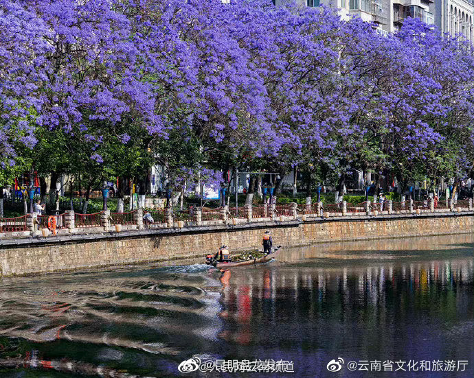 昆明盘龙发布