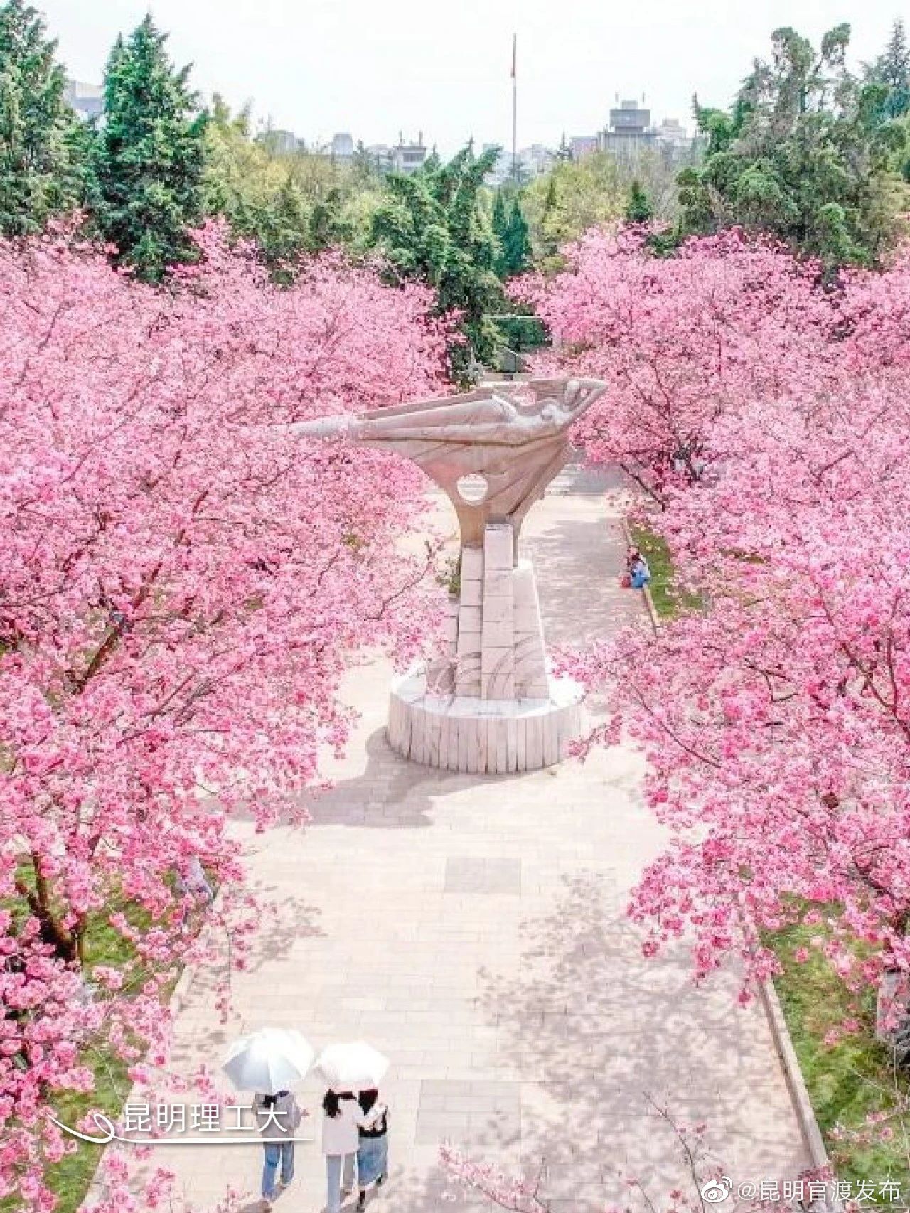 “昆明官渡发布”微博