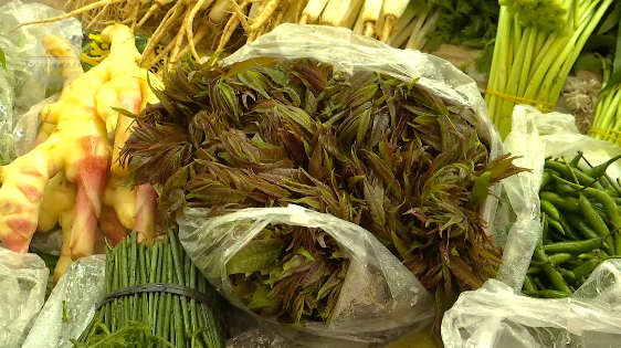 昆明信息港/cnkmxxg