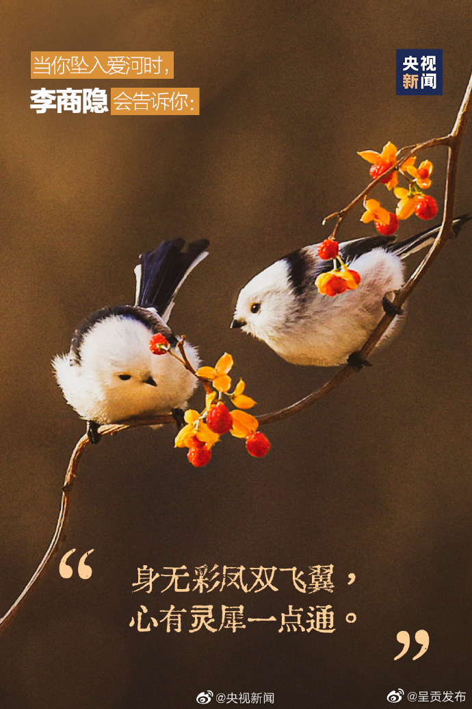 呈贡发布
