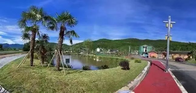 丽江日报
