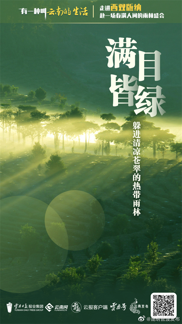 昆明官渡发布
