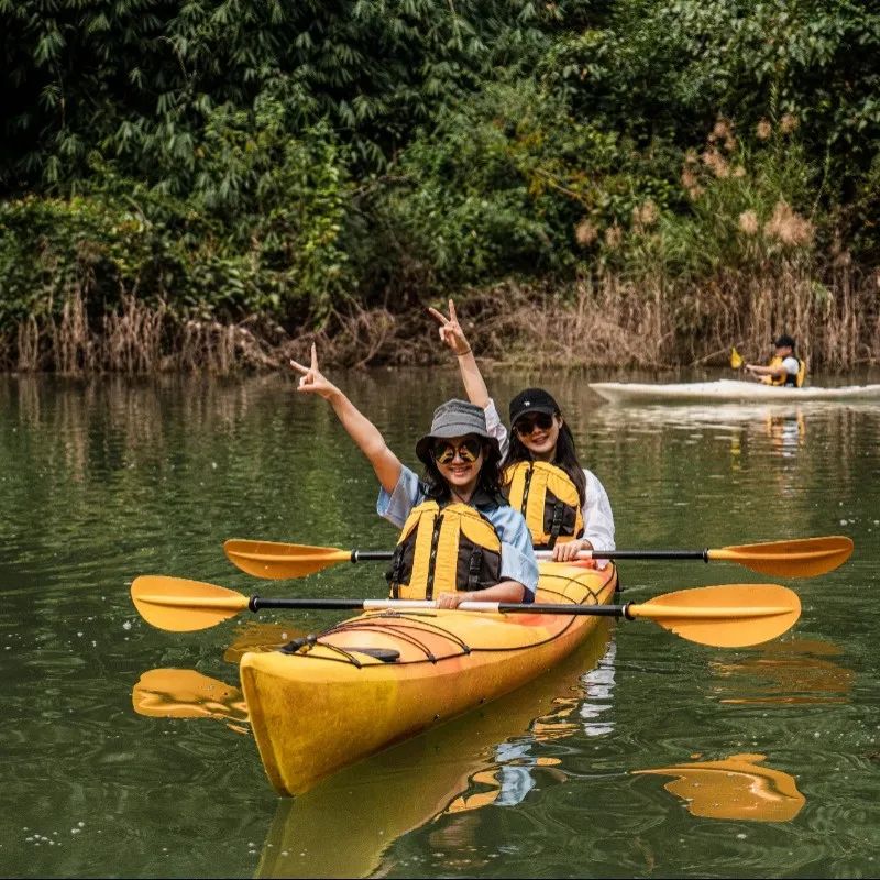 西双版纳望天树景区