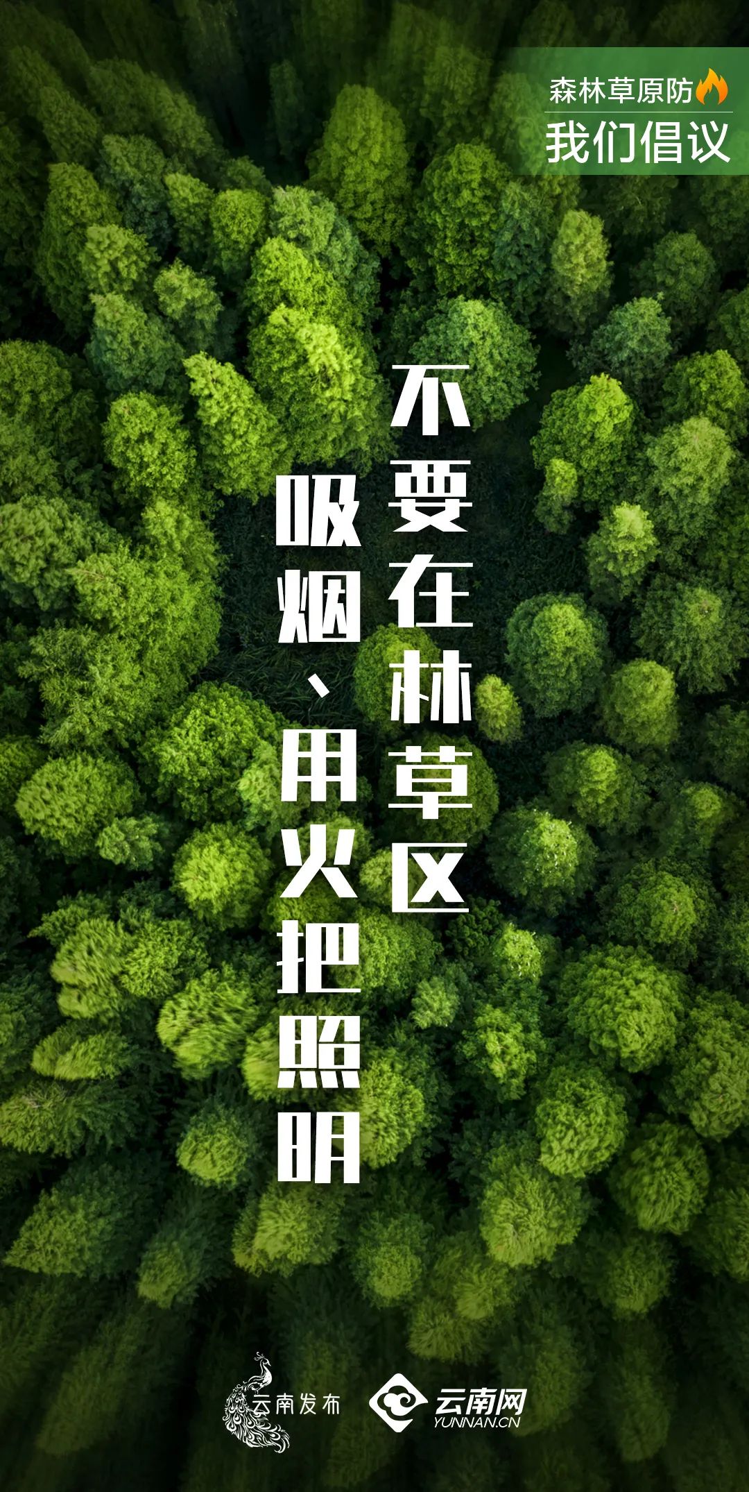 保山新闻网