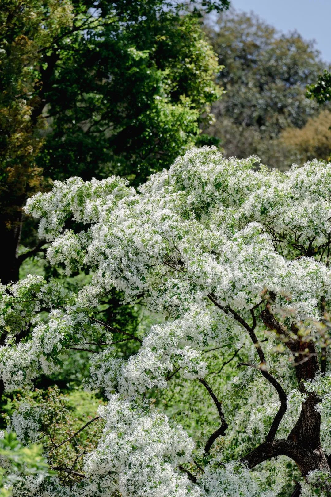 云南省文化和旅游厅