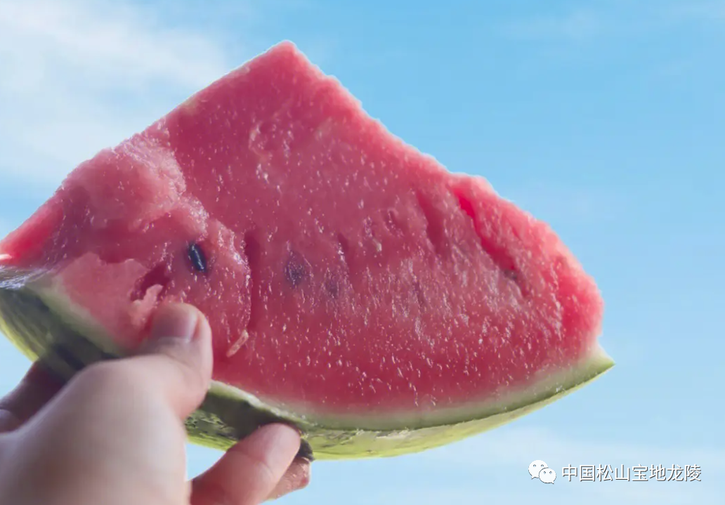 保山新闻网