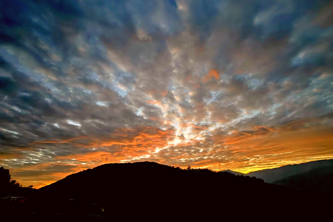 云南省文化和旅游厅