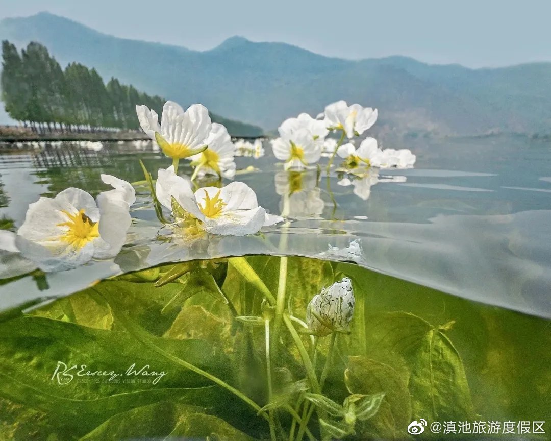 滇池旅游度假区