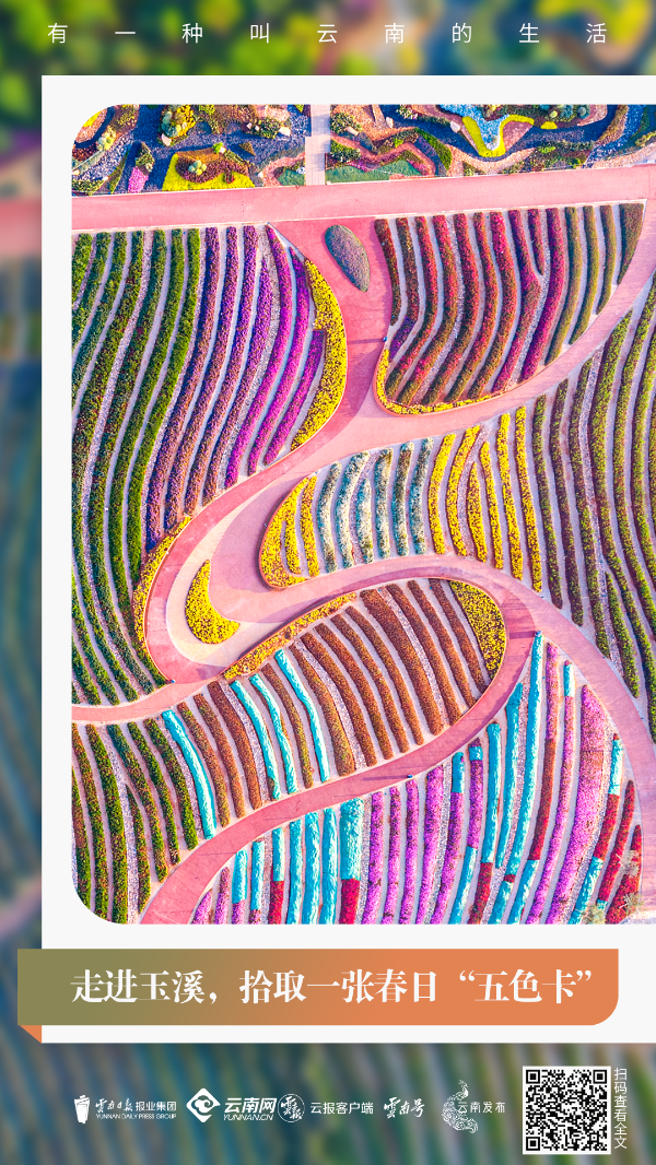 云南省文化和旅游厅