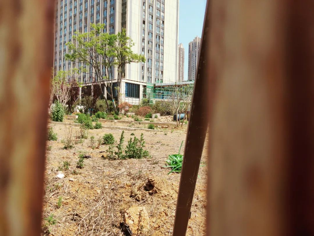 昆明信息港/cnkmxxg