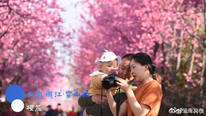呈贡发布