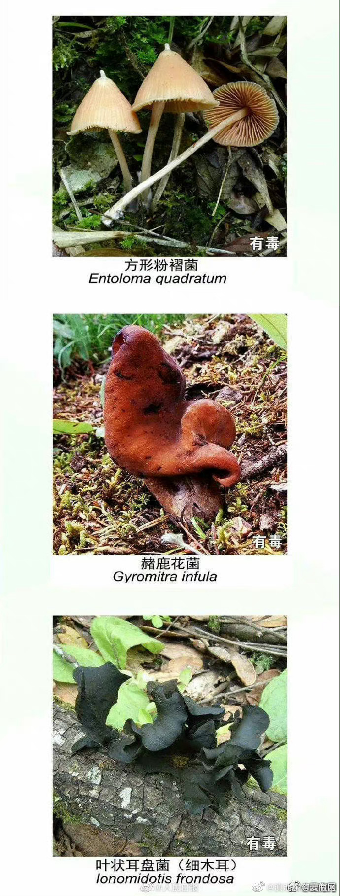 滇池旅游度假区