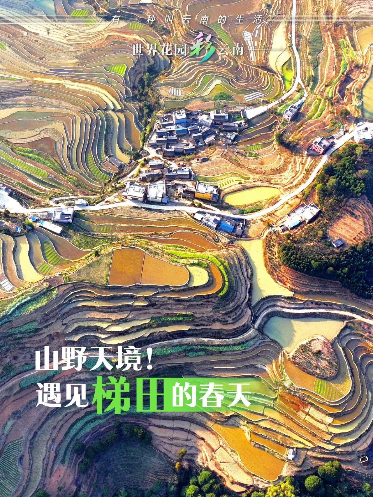 云南省文化和旅游厅