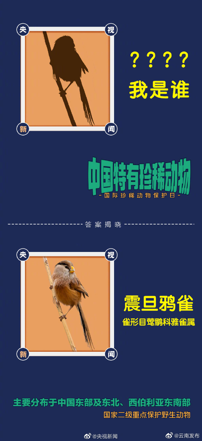 “云南发布”微博